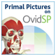 Primal Pictures on OvidSP