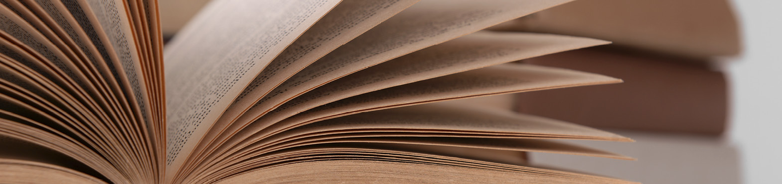 banner on publicar llibres